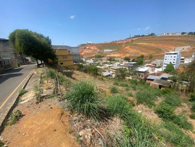 Terreno para Venda, em Muriaé, bairro São Francisco