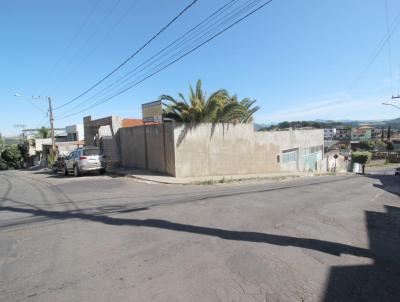 Oportunidade para Venda, em Muriaé, bairro São Gottardo